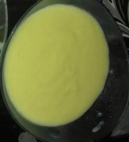 Mango Yogurt Recipe