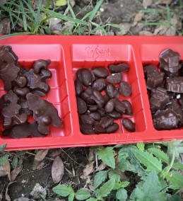 Dryfruit Chocolates Recipe