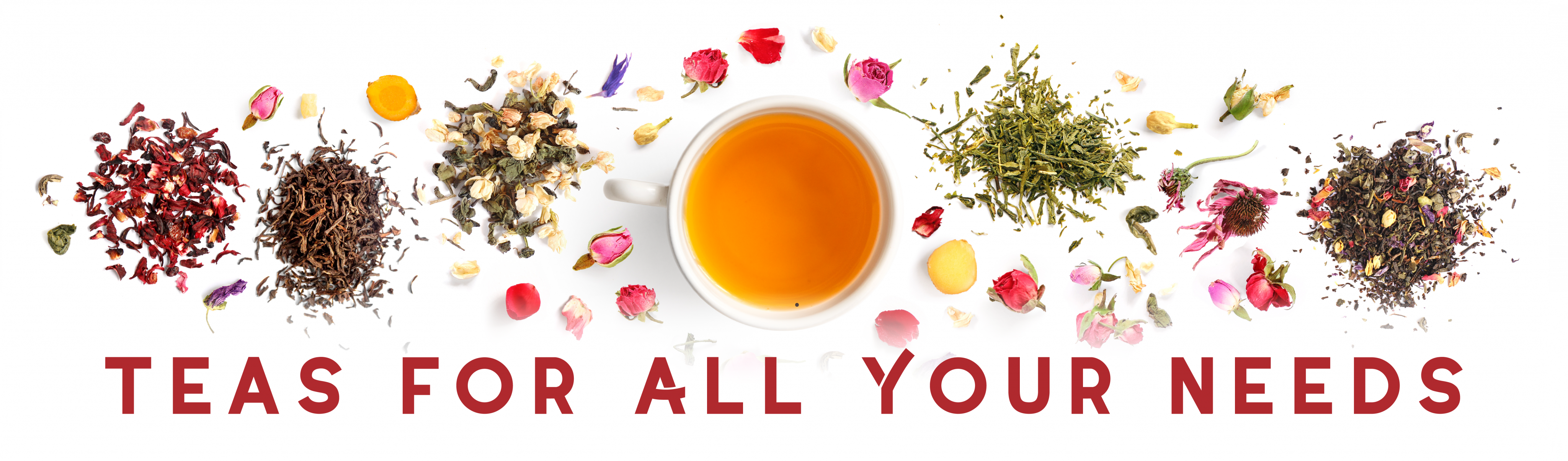 Teas for Your All Needs