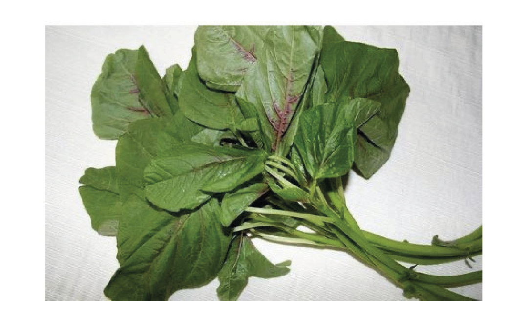 Amaranth Leaves - Complete Information Including Health Benefits, Selection  Guide and Usage Tips - GoToChef